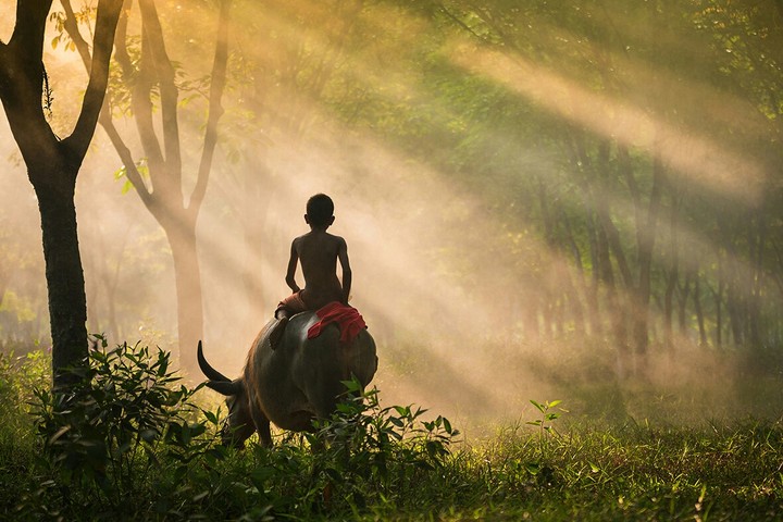 Africa boy