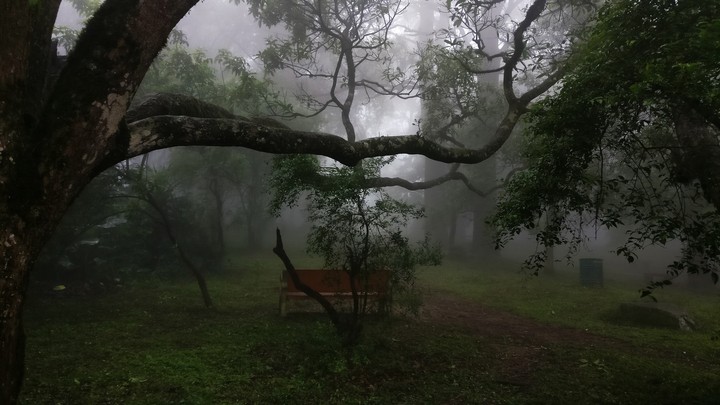 Nature