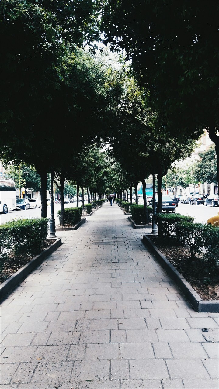 Tirana