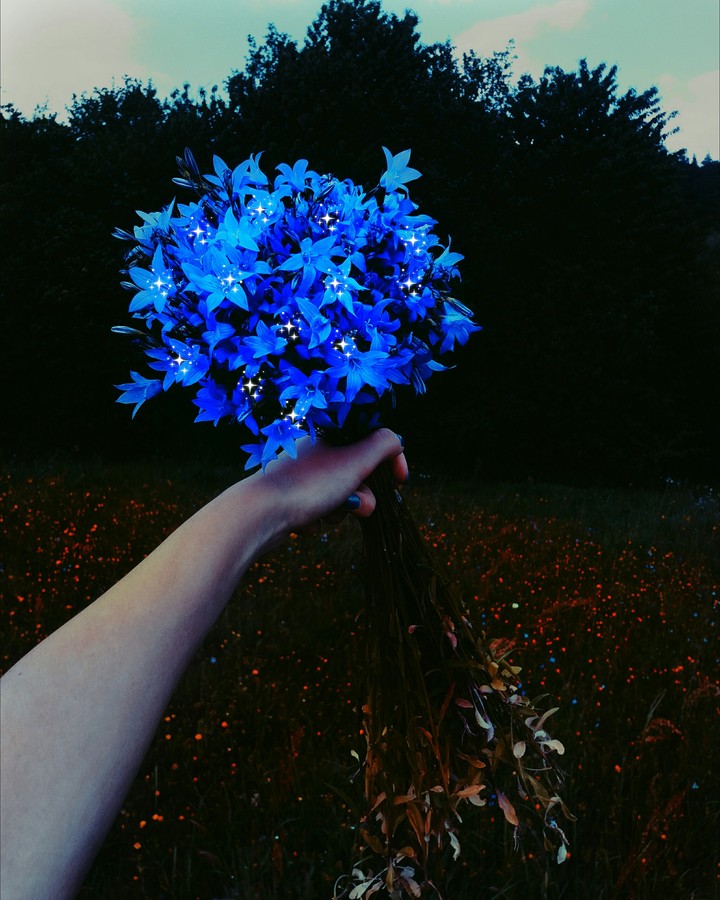 flowers