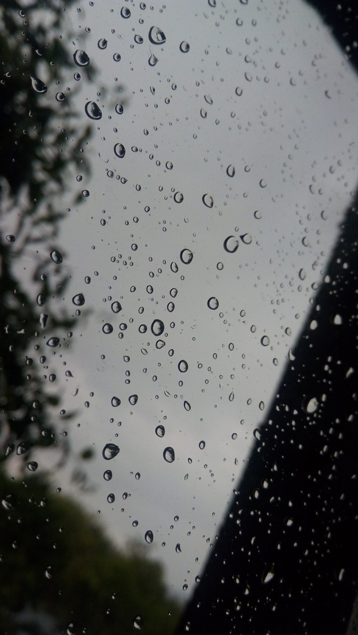 Rain