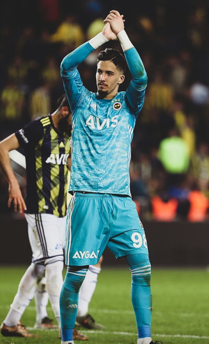altay bayindir , Fenerbahce
