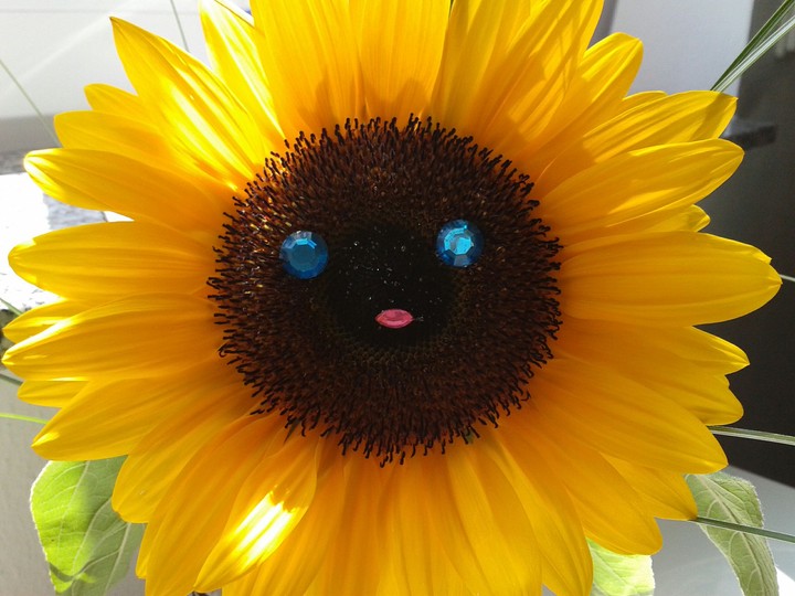 meine Sonne