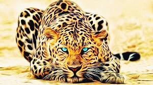 tigre HD