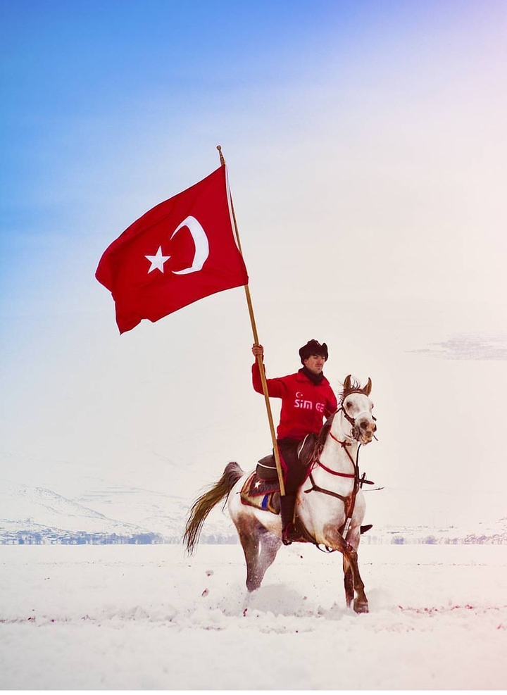 Türk
