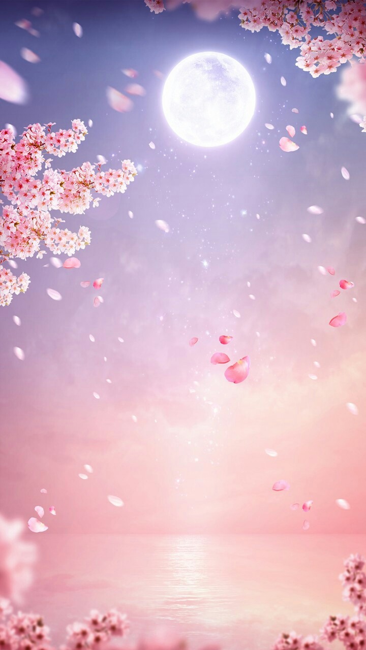 꽃