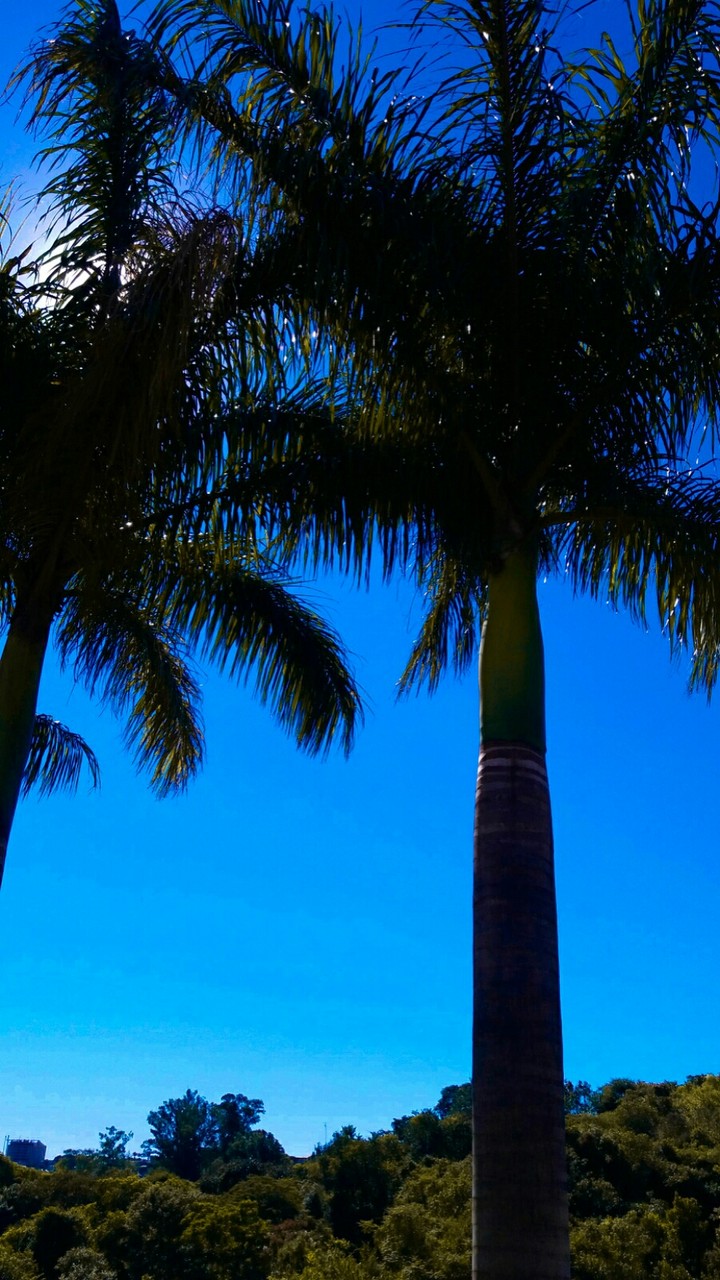 ceu azul