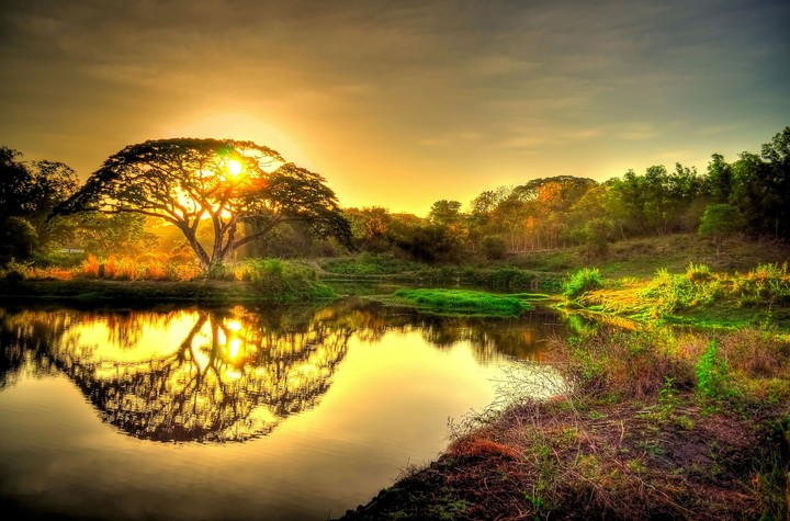 Sunset
