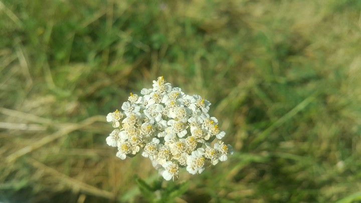 I love photo :) :) :)