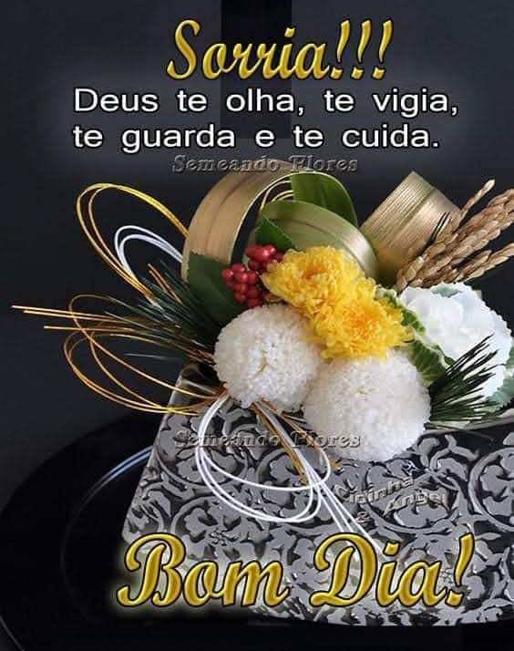 Aos meus amigos queridos.