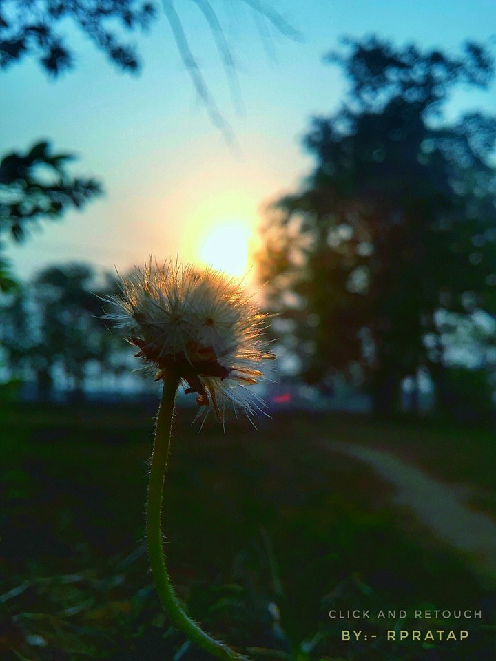 The first ray of Sun