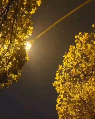 ،
