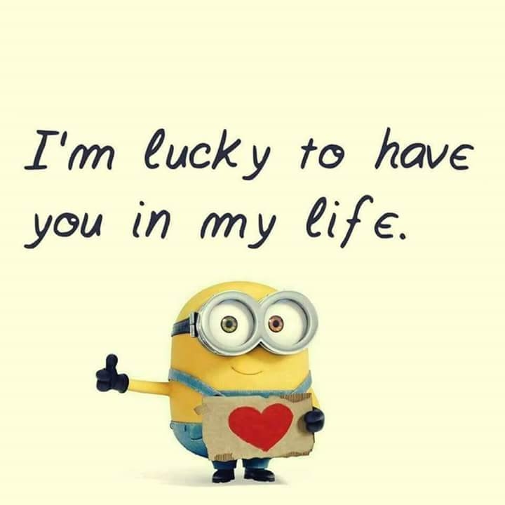 minion love