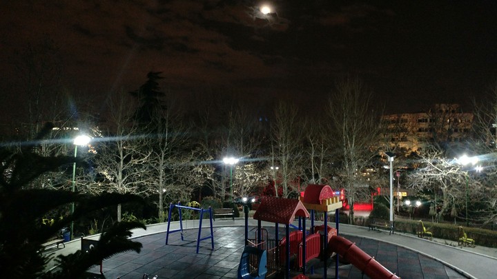 moon riser