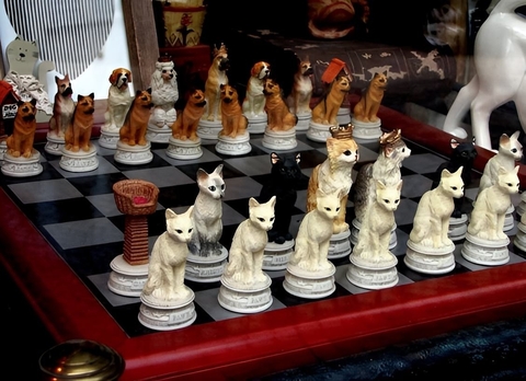 felidae, game壁纸