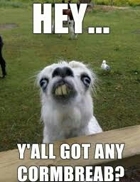 Lama