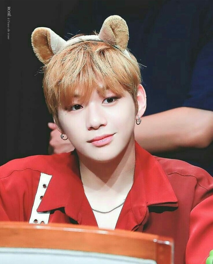 wanna one kang daniel