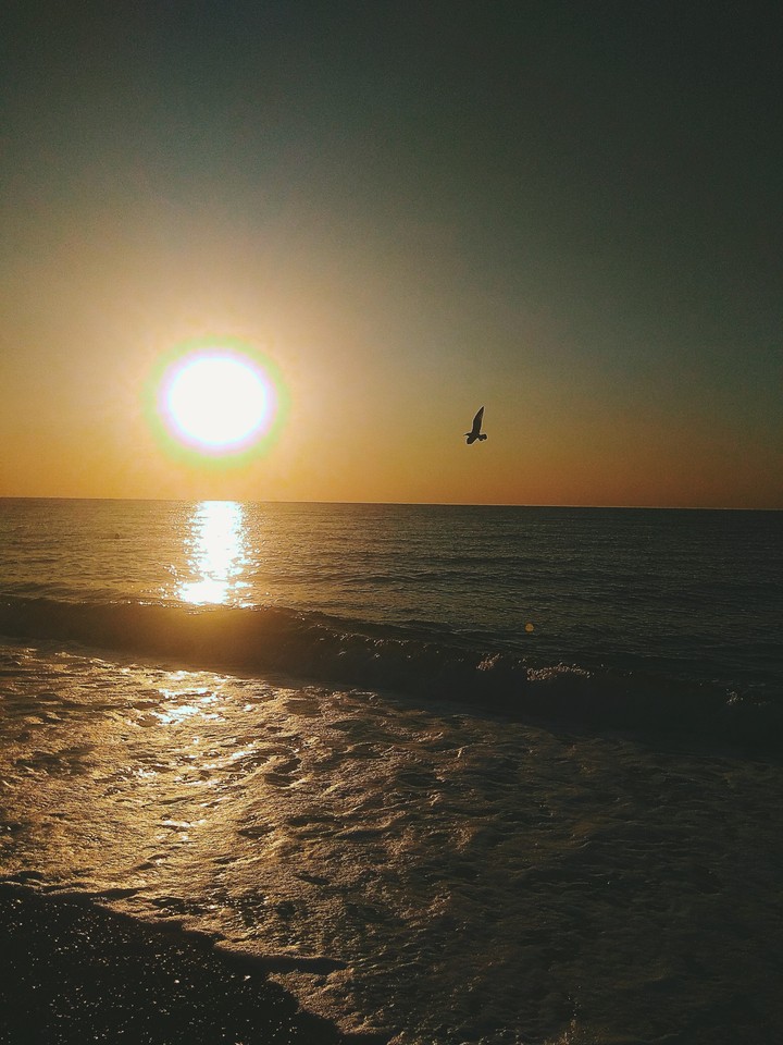 Sea