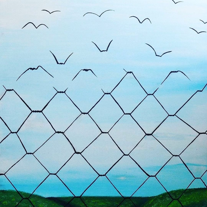 Freedom