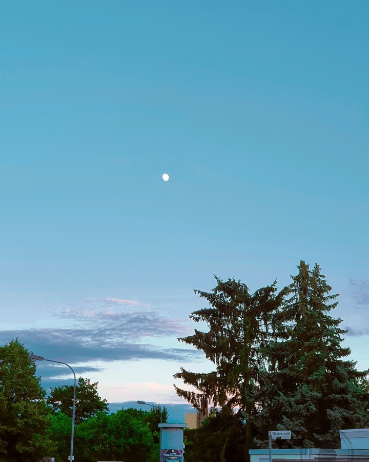 Evening
