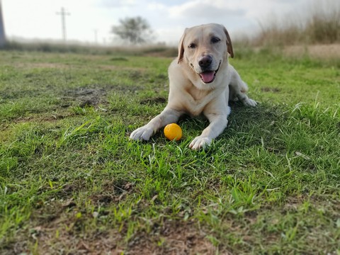 Luna con su ?