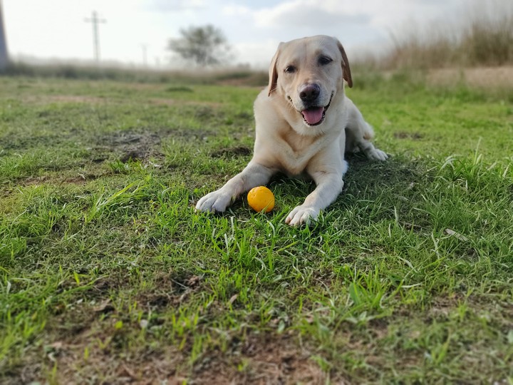 Luna con su ?