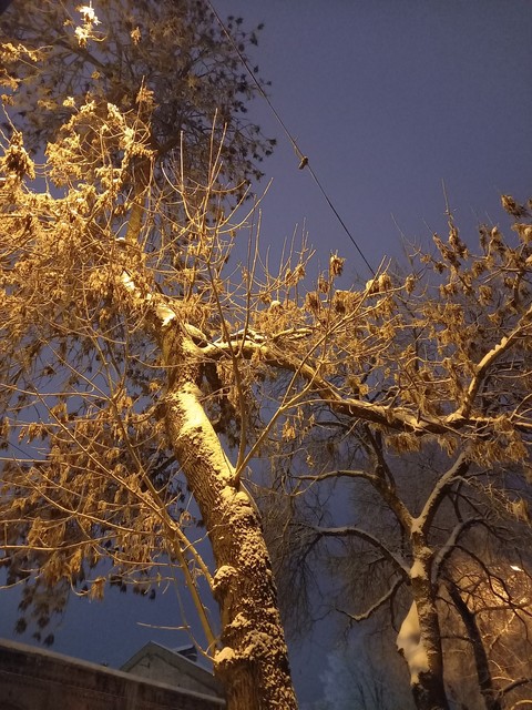 sky, 風景桌布