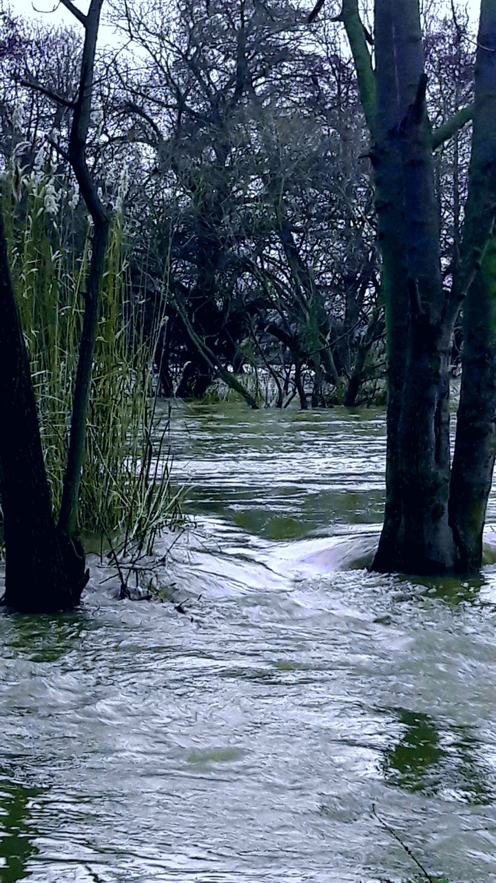 high tide