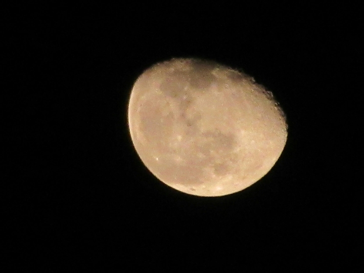 moon