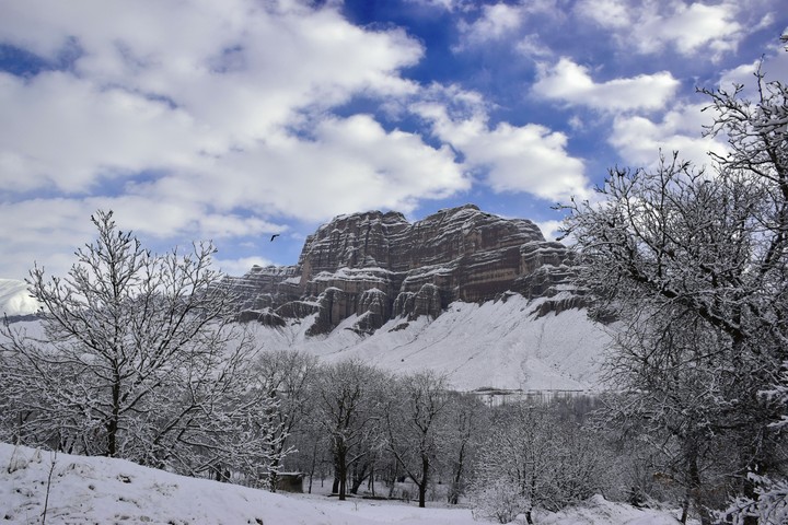 winter