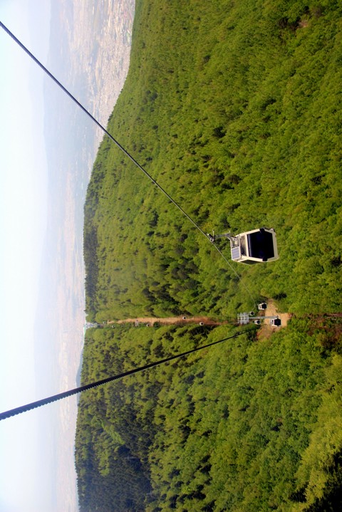 orman