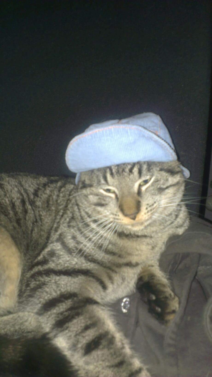 Mr. Fred and his hat