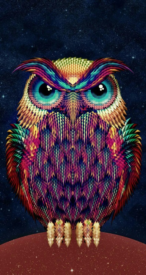 Owl