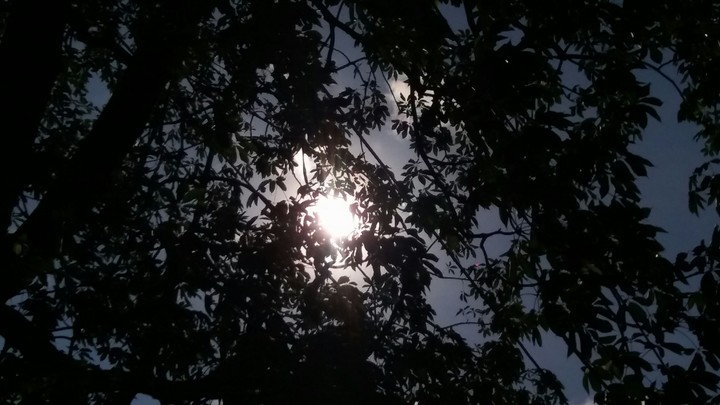 simple click