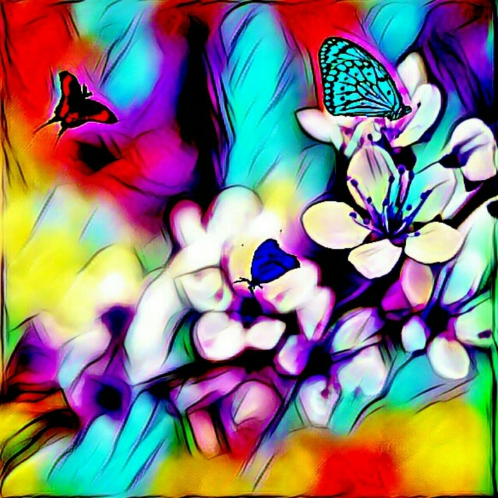 butterflies and flowers remixed
