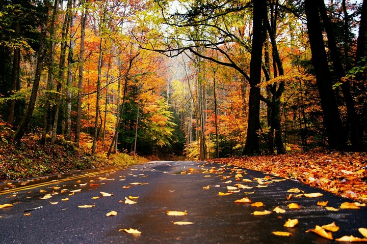 Природа
