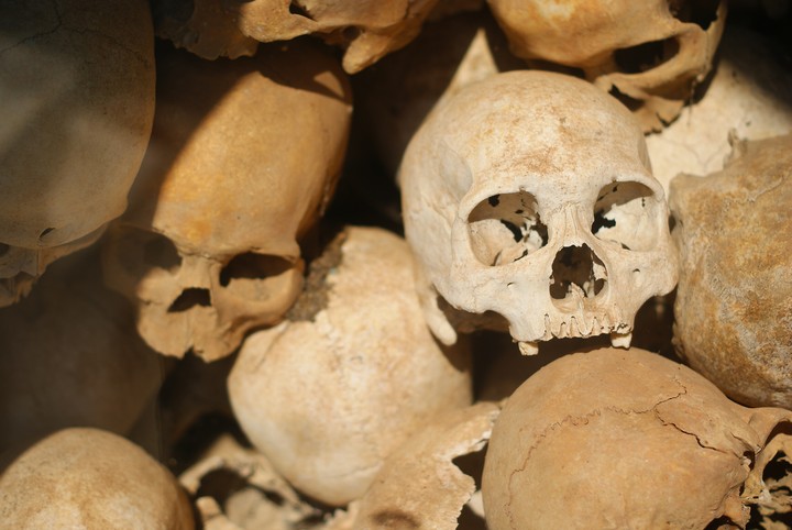 Human Skeleton
