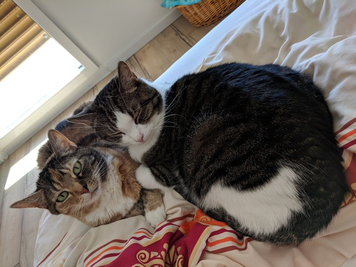 Kuscheln