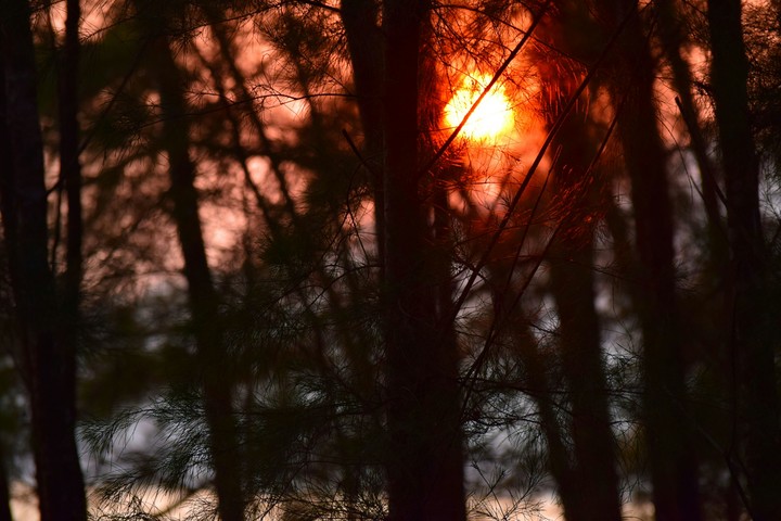 sun light