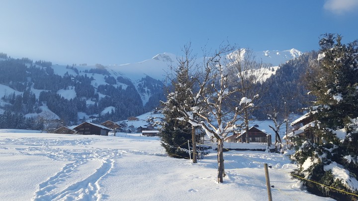 snowy day