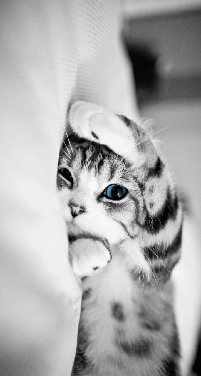 hide and seek
