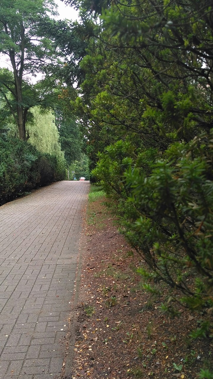 the road