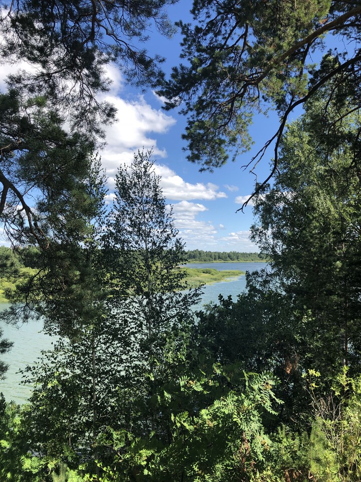 лесная красота