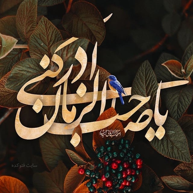 یا صاحب‌‌‌الزمان ادرکنی . . .