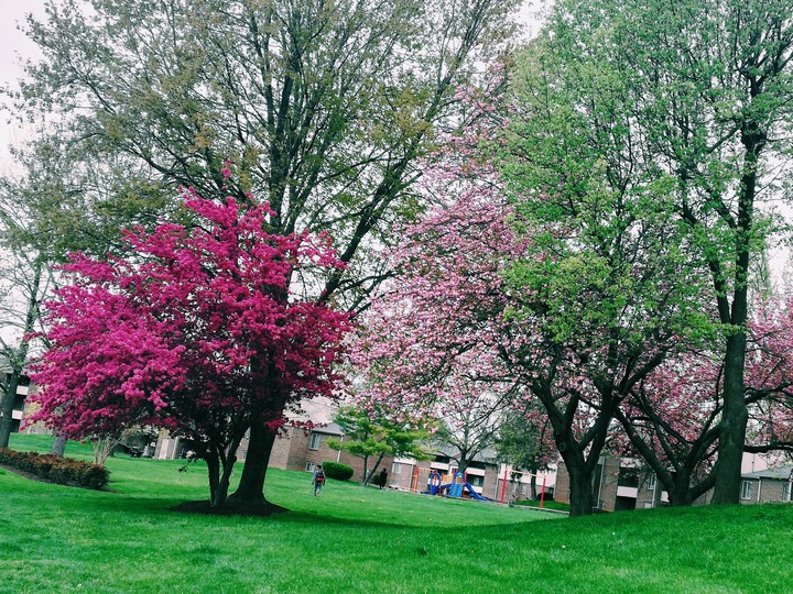 nature colors