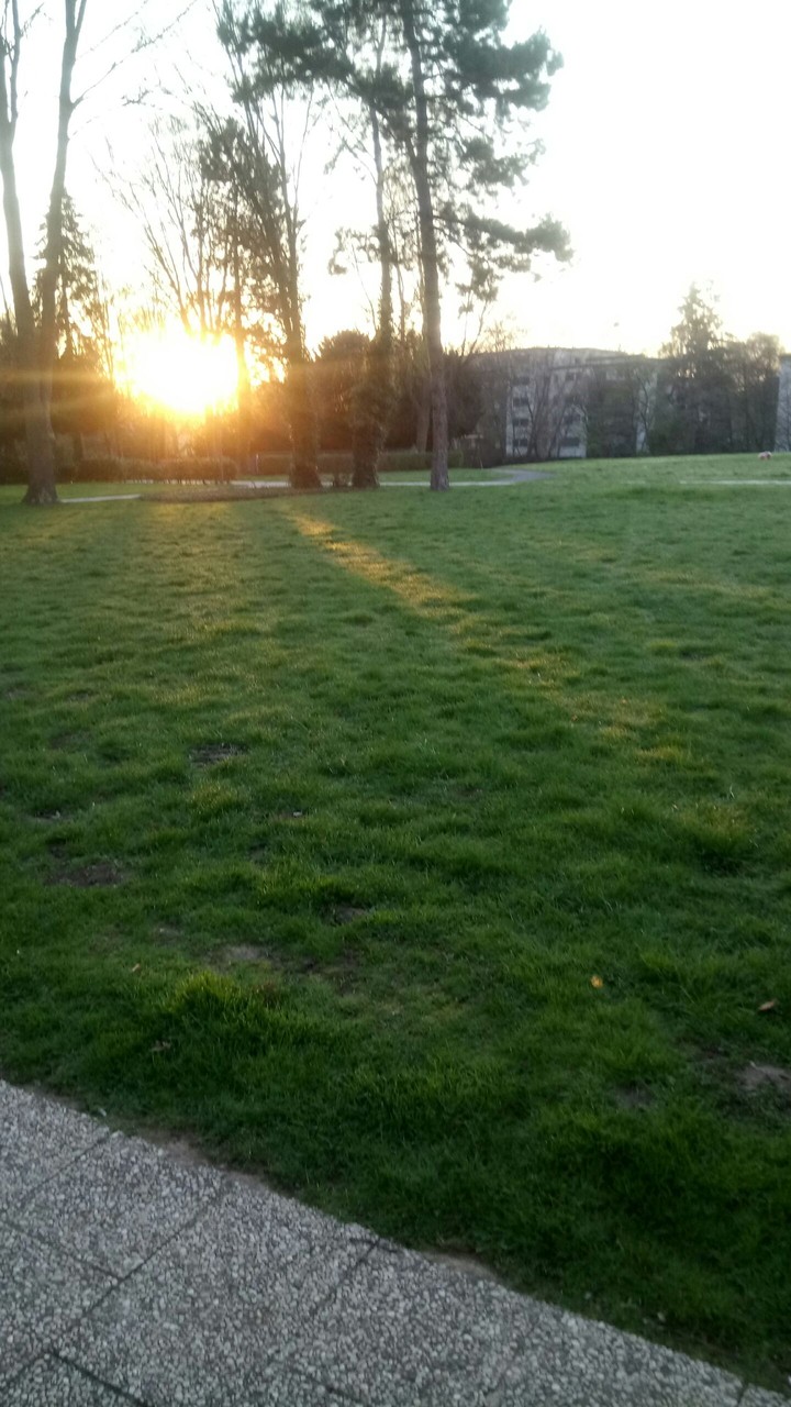 sun