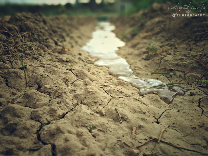 relation of fields with water.