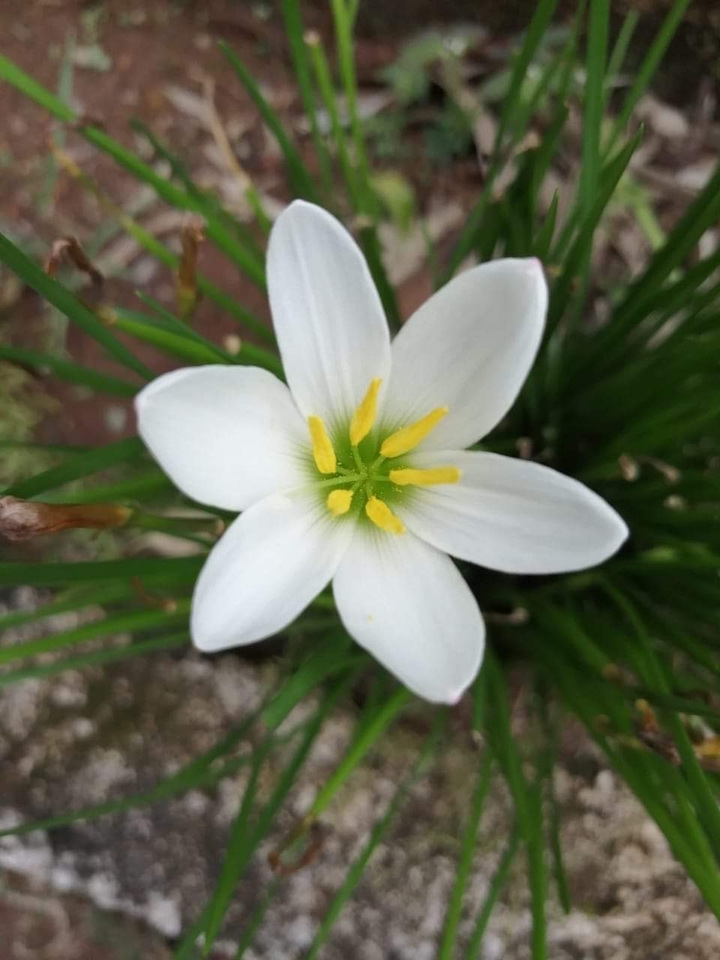 God's Nature