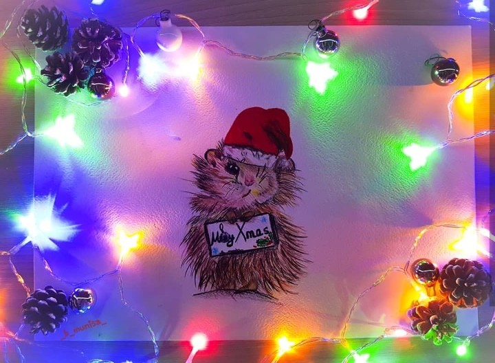 Marry christmas