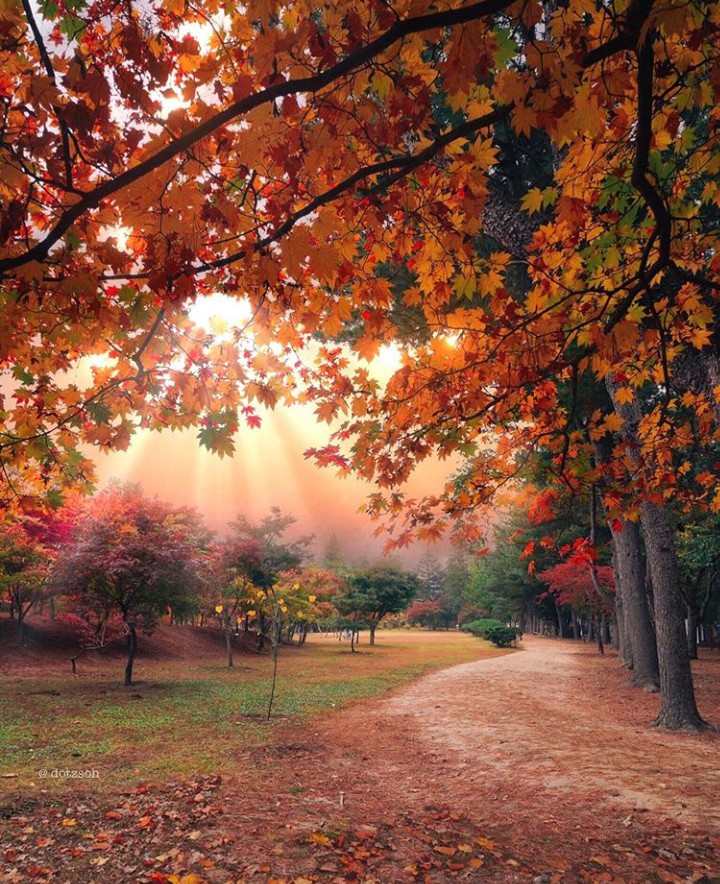 autumn